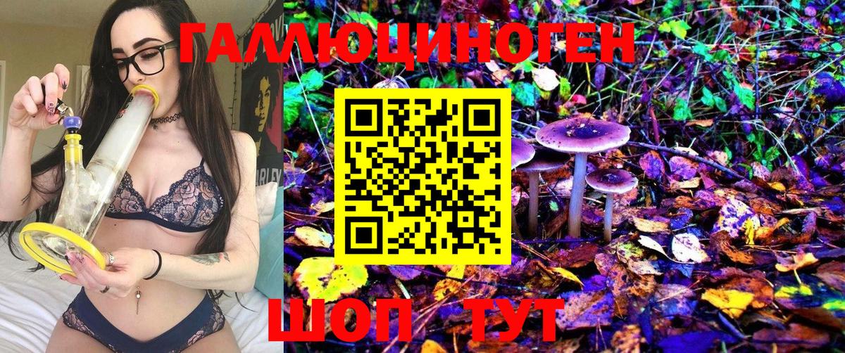 Галлюциногенные грибы Psilocybine cubensis Электросталь