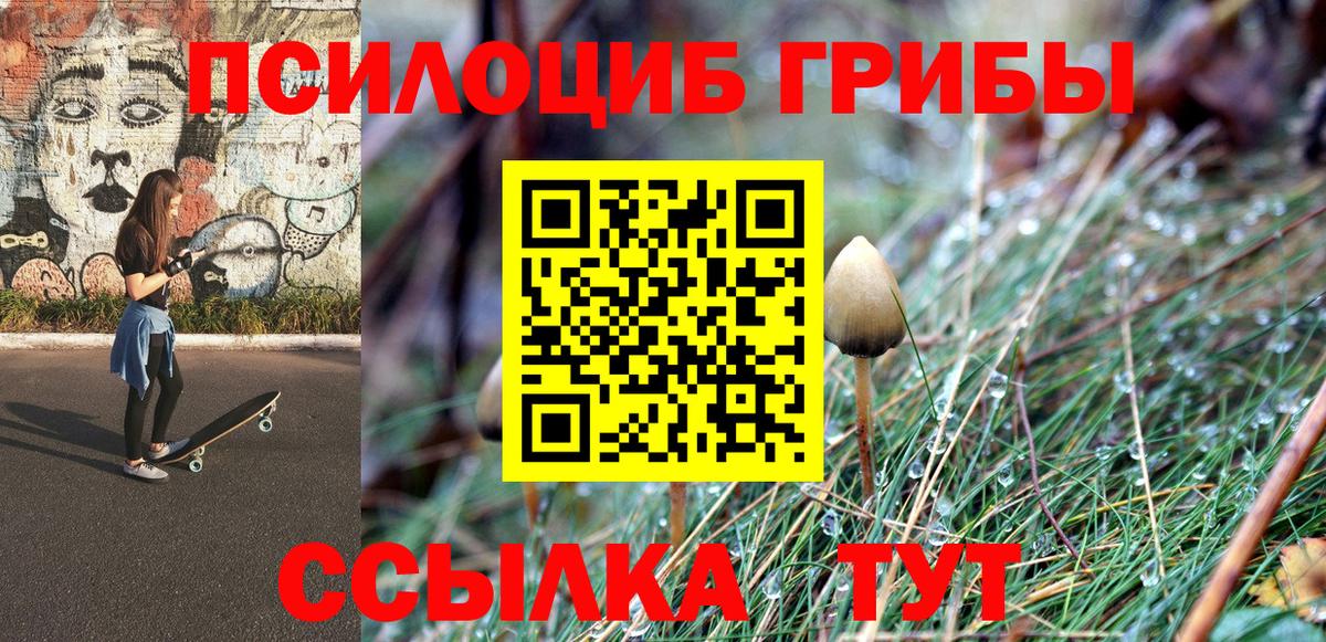 Электросталь  Галлюциногенные грибы прущие грибы  Вход с VPN 